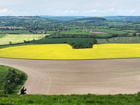 Taking in Cranborne Chase